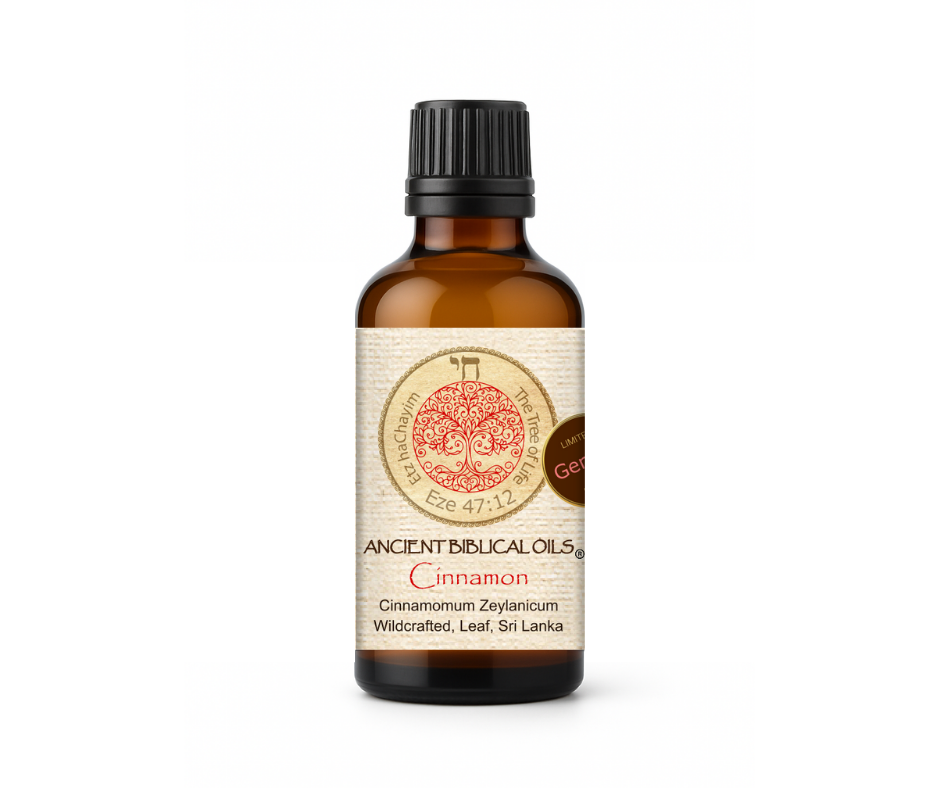 Cinnamon Aromatherapy Blend – 50ml