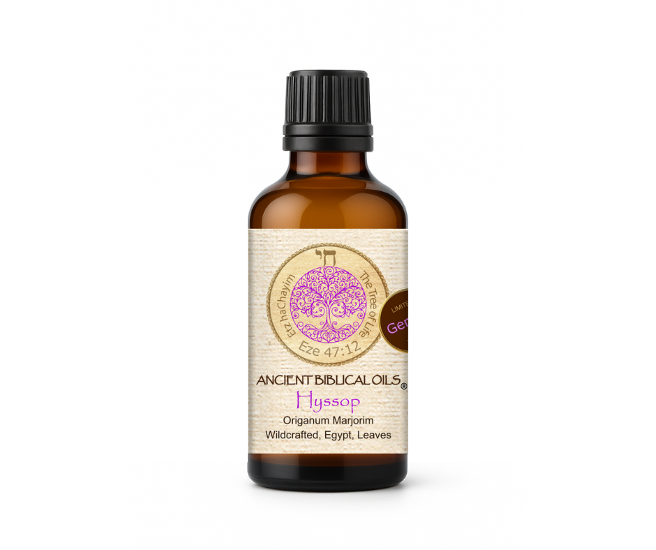 Hyssop Aromatherapy Blend – 50ml