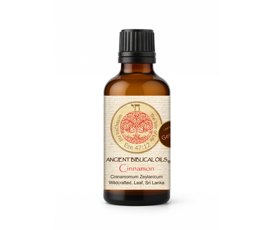 Cinnamon Aromatherapy Blend – 50ml